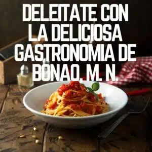 Deléitate con la deliciosa gastronomía de Bonao, Monseñor Nouel