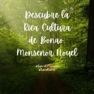 Descubre la rica cultura de Bonao, Monseñor Nouel