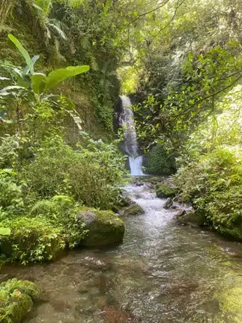 Salto Toro Flaco Bonao