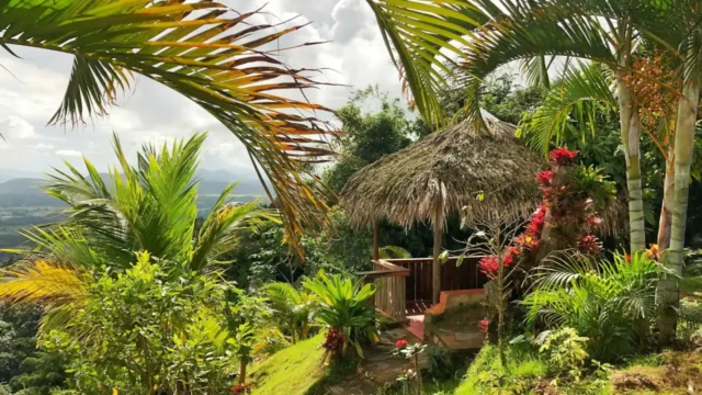Vista-Del-Paraiso10